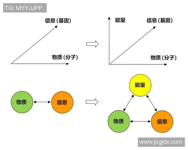 DOTA2热点分析EDG战队转型之路与未来发展方向探讨